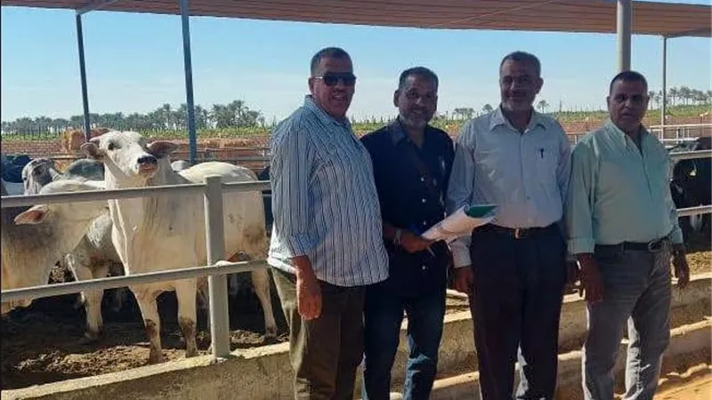 زراعة المنوفية تتابع إجراءات ترخيص مزرعة للإنتاج الحيواني والتسمين بجبل الخطاطبة