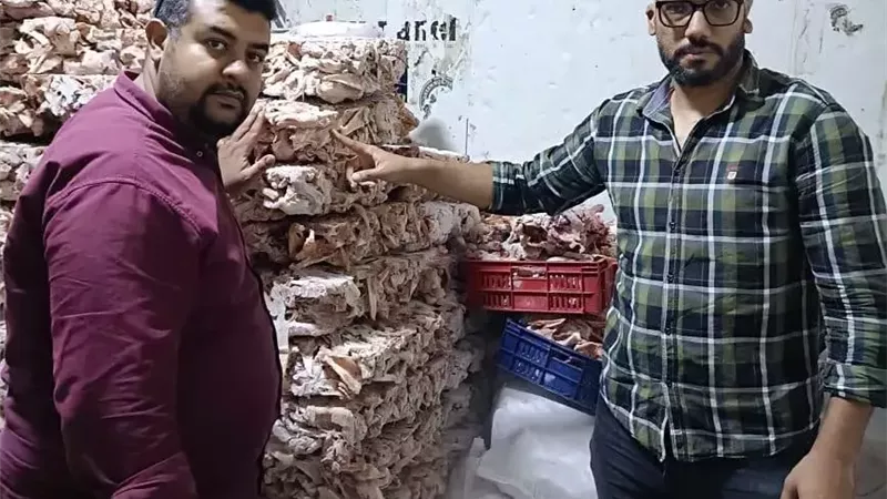بيطري الجيزة يضبط 70 طنًا من اللحوم والدواجن والأسماك الفاسدة خلال سبتمبر