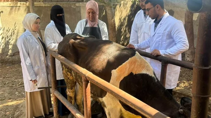 بيطري الشرقية يواصل التدريب العملي لأطباء الامتياز بالتزامن مع حملات التحصين