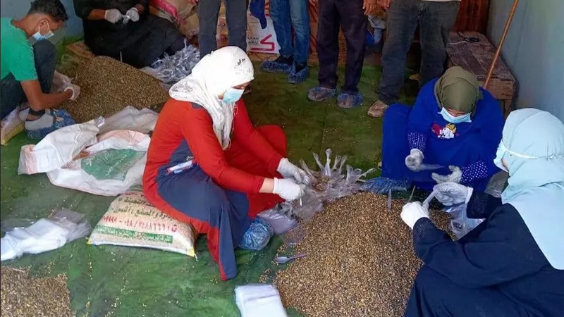 استمرار حملة مكافحة القوارض بمركز أشمون ضمن الحملة القومية