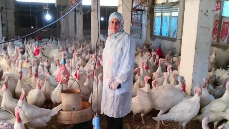 قبل وصولها للأسواق.. الطب البيطري بالقاهرة يفحص مزارع الرومي للكشف عن الأمراض الوبائية