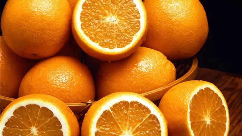 ماذا يحتاج محصول الموالح خلال مرحلة تحجيم الثمار؟