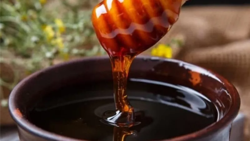 العسل الأسود المصري يقتحم الأسواق العالمية.. 53.6 مليون دولار صادرات وفرص غير مستغلة بـ38 مليون دولار