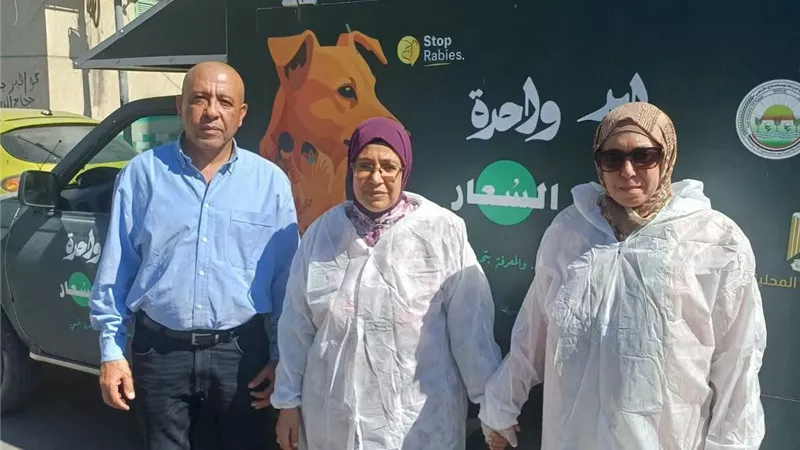 بيطري بورسعيد ينفذ حملة مكثفة للتعامل مع الكلاب الضالة بالحي الإماراتي