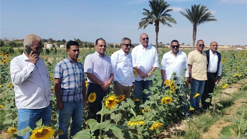 رئيس بحوث الصحراء يتفقد نجاح زراعة عباد الشمس بمياه الآبار المالحة في جنوب سيناء