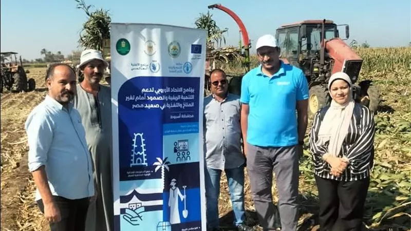 بشراكة «الفاو».. تدريب مزارعي أسيوط على إعداد السيلاج لدعم الثروة الحيوانية وخفض تكاليف الإنتاج