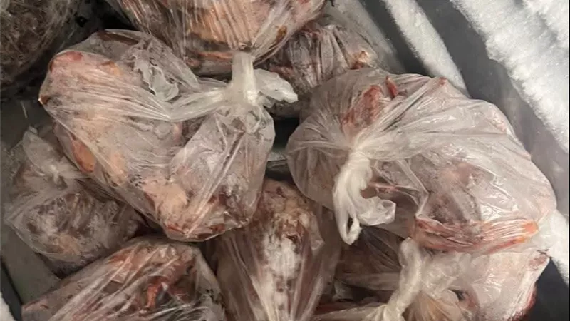 «الخدمات البيطرية» بالقاهرة تواصل حملاتها الرقابية على الأسواق وتضبط 2.5 طن من المنتجات الغذائية غير المطابقة للمواصفات الصحية