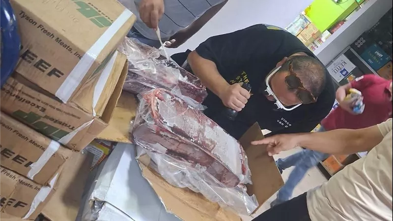 محافظ أسيوط: ضبط 218 كيلو لحوم وكبدة وأسماك فاسدة داخل ثلاجة مجمدات بمركز أسيوط