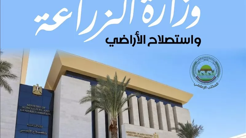 غدًا.. 