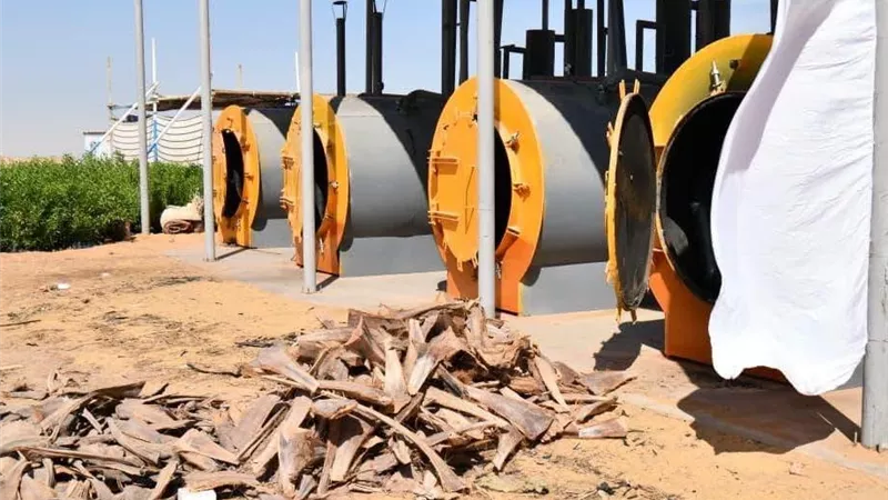 وزيرة التنمية ومحافظ الوادي الجديد تتفقدان مصنعًا يحوّل المخلفات الزراعية إلى وقود حيوي وأسمدة