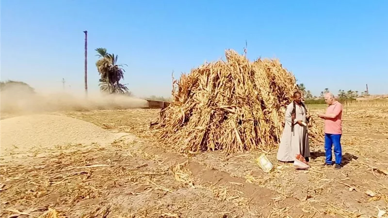 محافظ أسيوط: تدوير بوص الذرة الرفيعة يحوّل المخلفات الزراعية إلى أعلاف وأسمدة عضوية