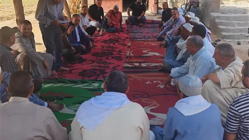 مدرسة حقلية بالبحيرة لدعم مزارعي البطاطس ومناقشة تحديات الأسمدة والري وتوفير التقاوي