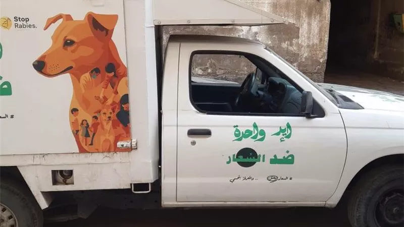 الطب البيطري ببورسعيد ينفذ حملة مكثفة للتعامل مع الكلاب الضالة بحي الضواحي ونقلها إلى الشلتر