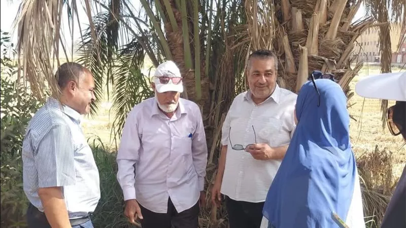 الزراعة بالدقهلية تكثف مكافحة القوارض بعد حصاد المحاصيل الصيفية.. ومعالجة 3600 فدان بدكرنس