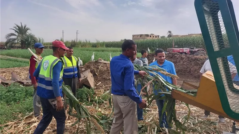 بدلًا من حرقها.. تحويل المخلفات الزراعية إلى أعلاف لدعم صغار المزارعين بصعيد مصر