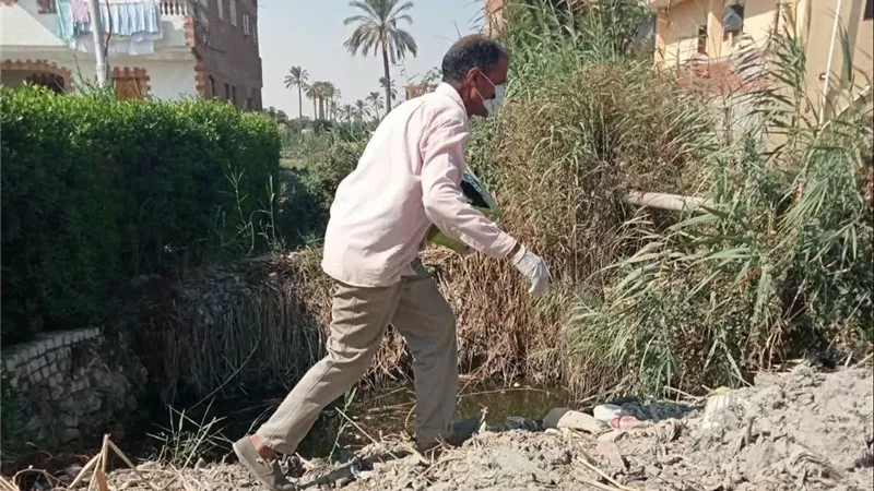 زراعة الإسماعيلية تواصل الحملة القومية لمكافحة القوارض بفايد لمواجهة بؤر الإصابة