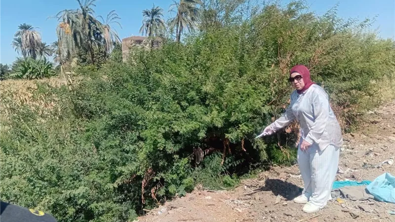 «زراعة سوهاج» تكثف حملات مكافحة القوارض بدار السلام وطهطا استعدادًا للموسم الشتوي