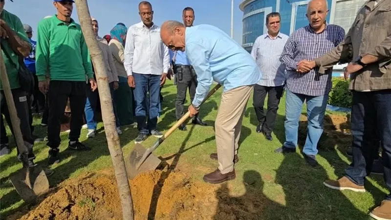 4800 شجرة جديدة في السويس.. «التنمية المحلية» تبدأ تنفيذ المرحلة الخامسة من المبادرة الرئاسية للتشجير