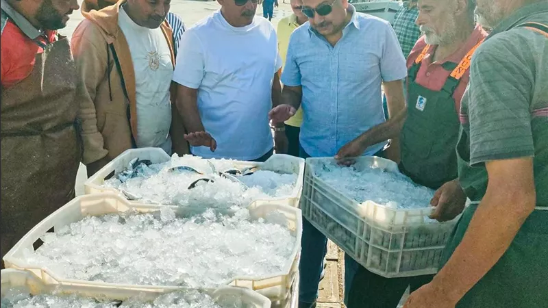 11.2 طن أسماك بحلقة طور سيناء خلال أسبوع.. والمحافظة تتابع حركة الصيد والأسعار