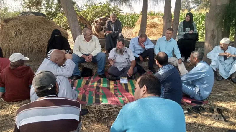 «زراعة كفر الشيخ» تنظم ندوة إرشادية حول أحدث المعاملات الزراعية لمحصول القمح