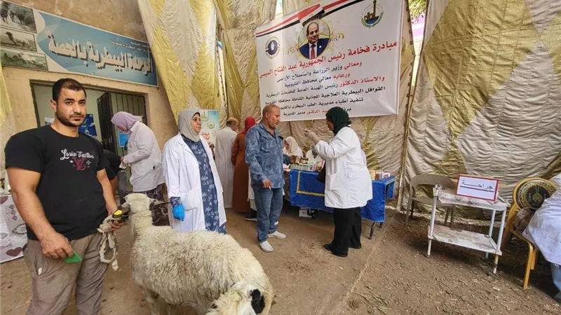 بيطري القليوبية ينظم قافلة علاجية مجانية بوحدة الحصة بطوخ.. ويقدم آلاف الخدمات لدعم الثروة الحيوانية