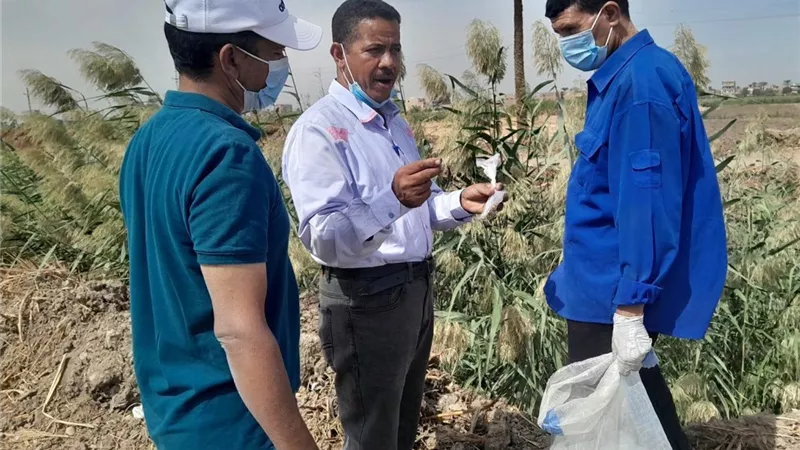 لحماية المحاصيل الزراعية.. حملات ميدانية تستهدف مكافحة القوارض بعدد من مراكز محافظة سوهاج