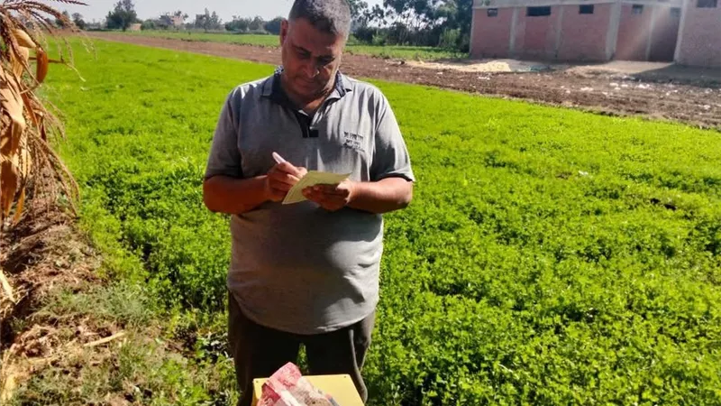 زراعة المنوفية تفحص الزراعات الشتوية والبستانية بالباجور.. حالة المحاصيل جيدة ومبشرة بالإنتاج