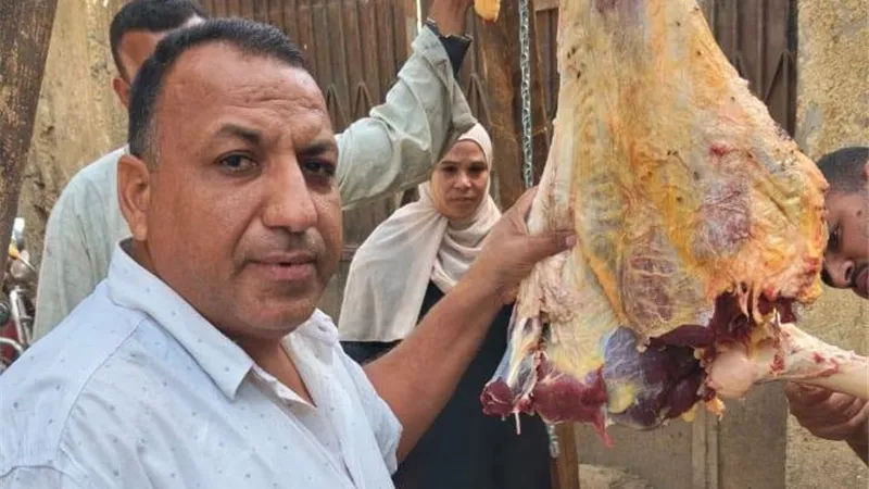 لحماية صحة المواطنين.. حملات بيطرية مكثفة على أسواق اللحوم بالمنيا