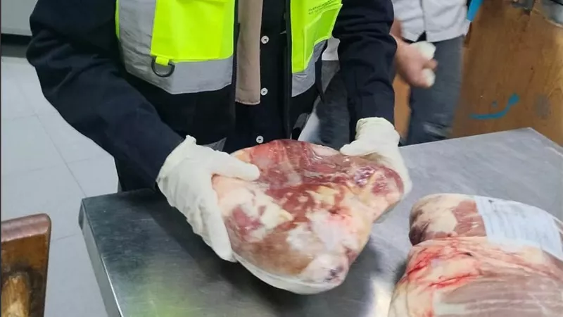 تحرك رقابي عاجل بسوهاج للتحقق من شكوى بشأن وجبة غذائية بمستشفى الهلال