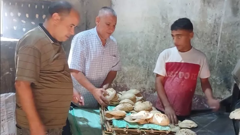 تموين أسيوط يحرر 510 محاضر ويضبط دقيقًا مدعمًا وسلعًا فاسدة و1643 لتر سولار قبل تهريبها