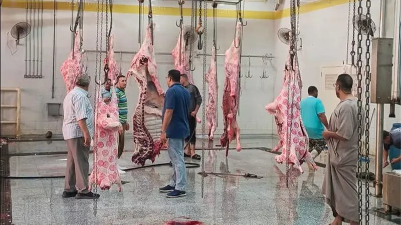 محافظ المنوفية يتابع انتظام التشغيل بالمجزر النصف آلي المطور بشبين الكوم لضمان كفاءة الخدمات