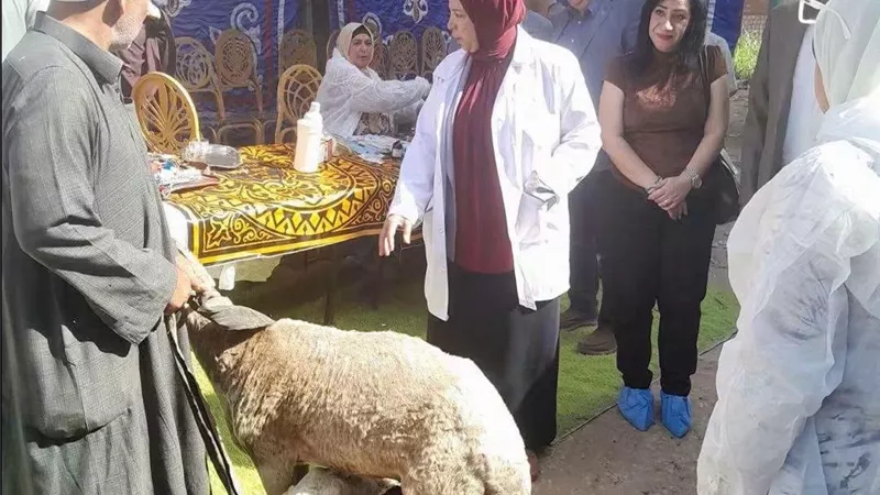 قافلة بيطرية مجانية بحلوان تنجح في علاج 617 حالة من الأبقار والجاموس والأغنام والدواجن