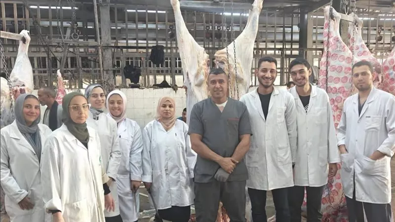الخدمات البيطرية تؤهل أطباء المستقبل.. تدريب عملي بجامعة القاهرة والزقازيق على كشف اللحوم بالمجازر