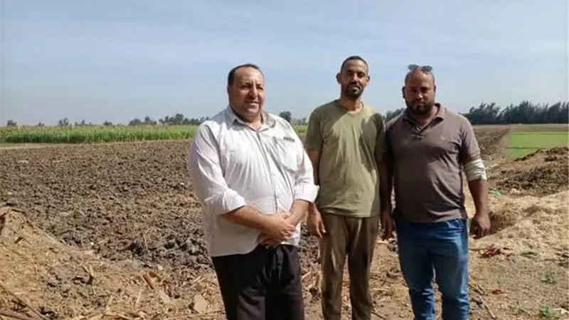 زراعة المنوفية تكثف ندواتها الإرشادية لرفع إنتاجية البرسيم ومكافحة الحشائش بالمحاصيل الشتوية