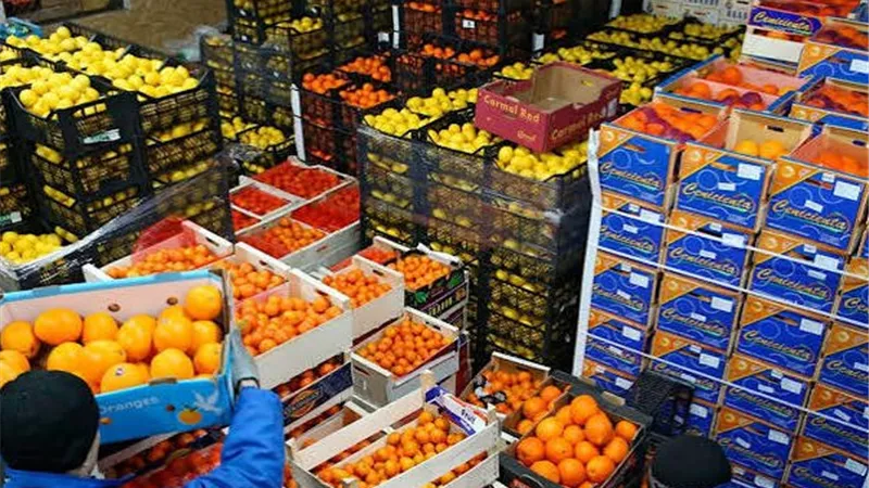 ميناء سفاجا يتصدر صادرات الغذاء.. و190 ألف طن واردات مصرية خلال أسبوع