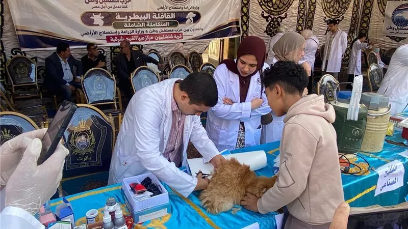 بيطري الشرقية تعالج 954 رأس ماشية و6542 طائرًا خلال قافلة مجانية بمنيا القمح
