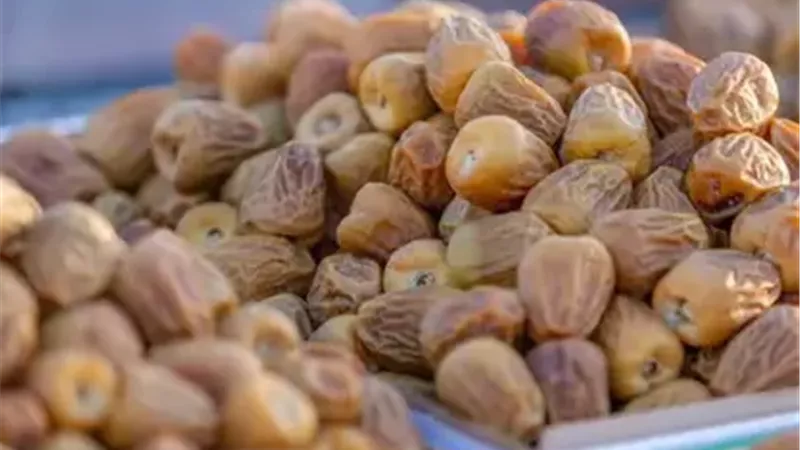 وزير الزراعة: مصر تتصدر الدول المنتجة للتمور عالميا بإنتاج 2.2 مليون طن سنويا