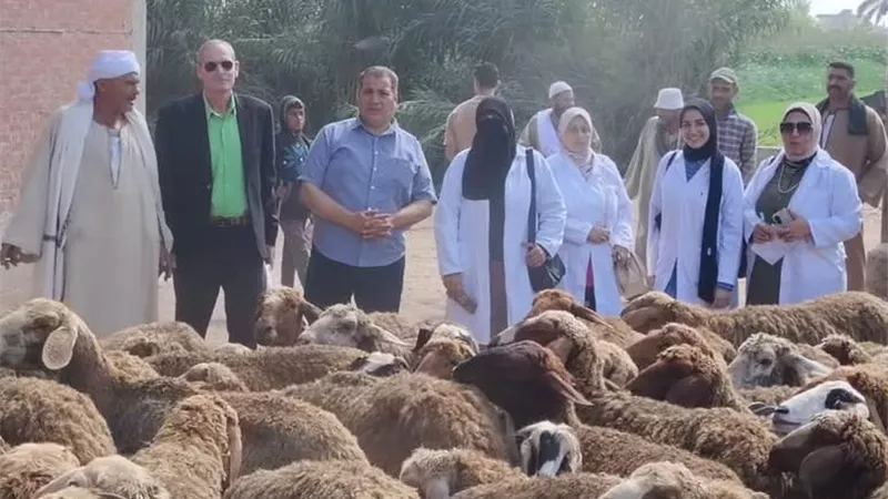 حملات بيطري البحيرة تضرب المخالفات بـ14 محضرًا.. والرقابة تشرف على ذبح 254 ذبيحة في يوم واحد