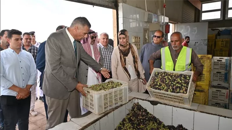 محافظ جنوب سيناء يتفقد معصرة أبوصويرة.. دعم المزارعين وتعظيم الاستفادة من إنتاج الزيتون