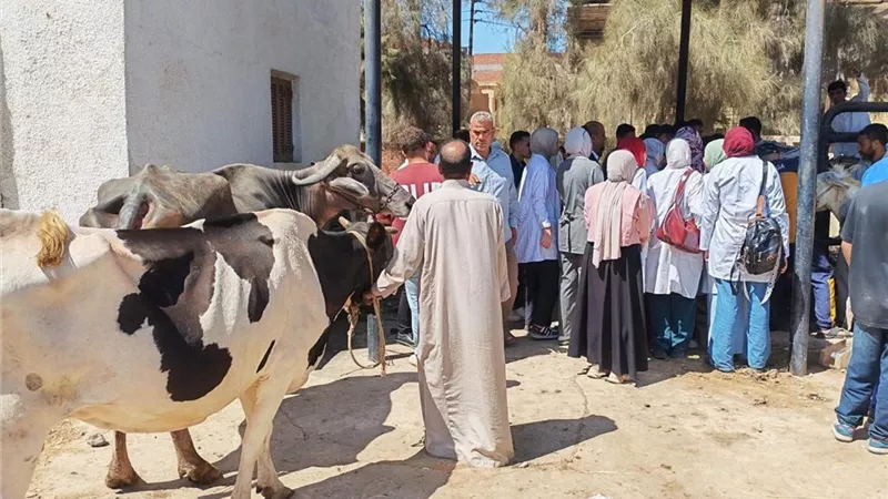 دعم صغار المربين وحماية القطعان.. «الزراعة» توسع خدماتها البيطرية في المحافظات