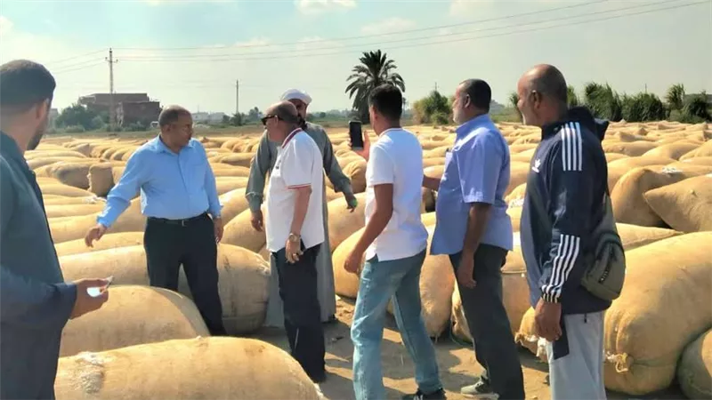 زراعة الإسماعيلية تتفقد مركز تجميع القطن بالبياضية لتيسير التوريد وتخفيف الأعباء عن المزارعين