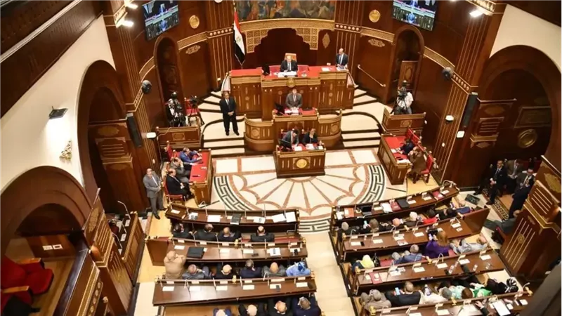 مجلس الشيوخ يناقش الاثنين المقبل رقابة الأسواق ومواجهة الغلاء والأمن الغذائي