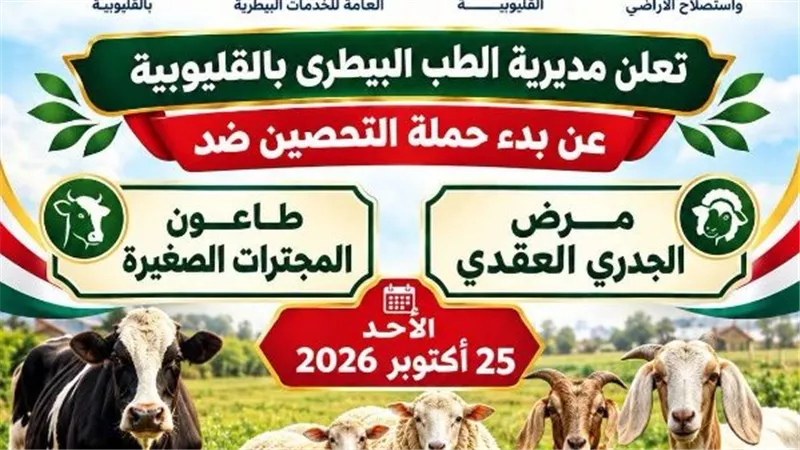 الطب البيطري بالقليوبية تطلق حملة لتحصين الأبقار ضد الجلد العقدي والأغنام ضد طاعون المجترات الصغيرة غدًا
