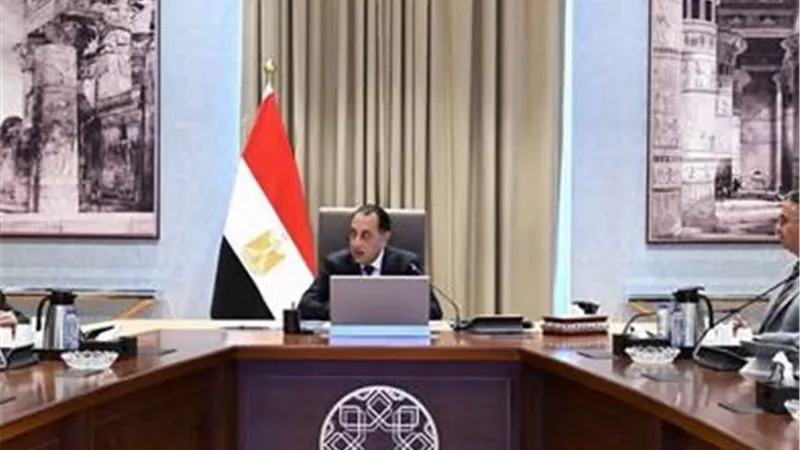 رئيس الوزراء يتابع مستجدات جلسة 