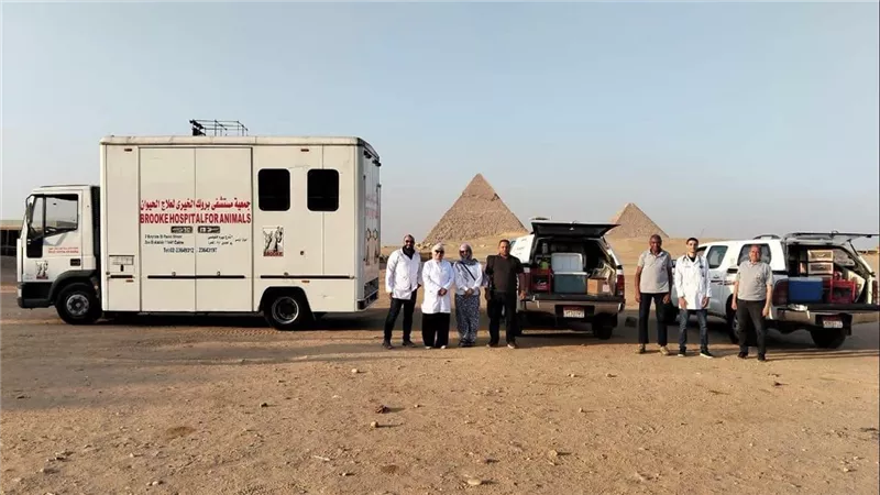 الخدمات البيطرية ترفع درجة الاستعداد لمتابعة الخيول المشاركة في بطولة لونجين العالمية للفروسية 2026
