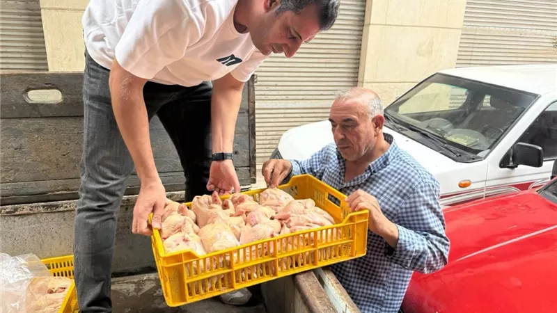 ضبط 2.4 طن رنجة مدخنة مشتبه في صلاحيتها وذبيحة مذبوحة خارج المجازر بالغربية
