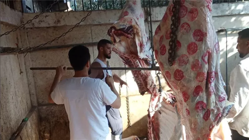 محافظ أسيوط يتابع مجزر البربا بصدفا للتأكد من سلامة اللحوم والالتزام بالاشتراطات البيطرية