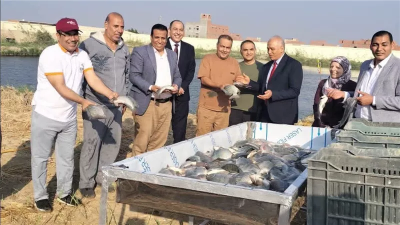 رئيس جامعة الفيوم يشهد انطلاق موسم صيد وحصاد الأسماك بمزارع كلية الزراعة