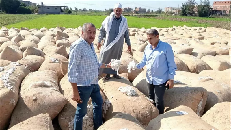 وكيل زراعة كفر الشيخ يتفقد مجمعات تجميع القطن ويتابع انتظام التوريد ويلتقي المزارعين