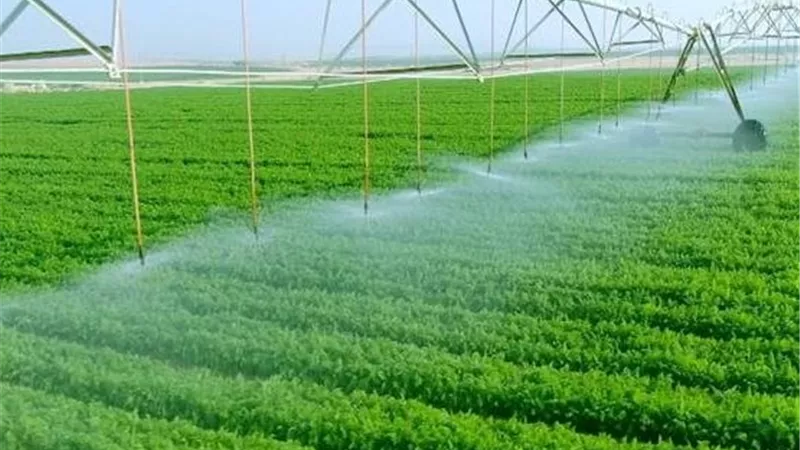 استثمارات زراعية على المائدة المصرية الكينية.. كينيا تدعو رجال الأعمال للشراكة